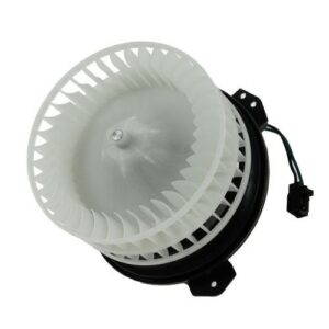 Blower motor