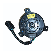 Radiator Fan motor