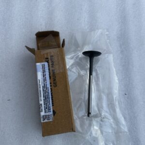 Intake valve