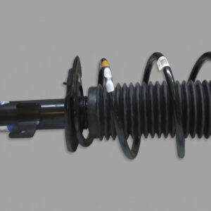 FRONT SHOCK ASSY