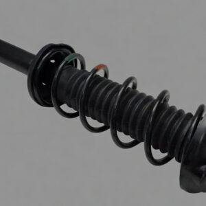 FRONT SHOCK ASSY