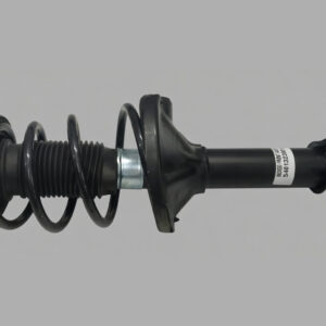 FRONT SHOCK ASSY